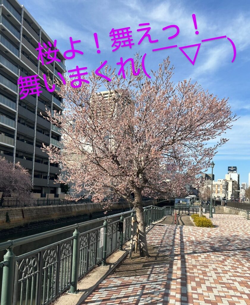 桜(^^)/