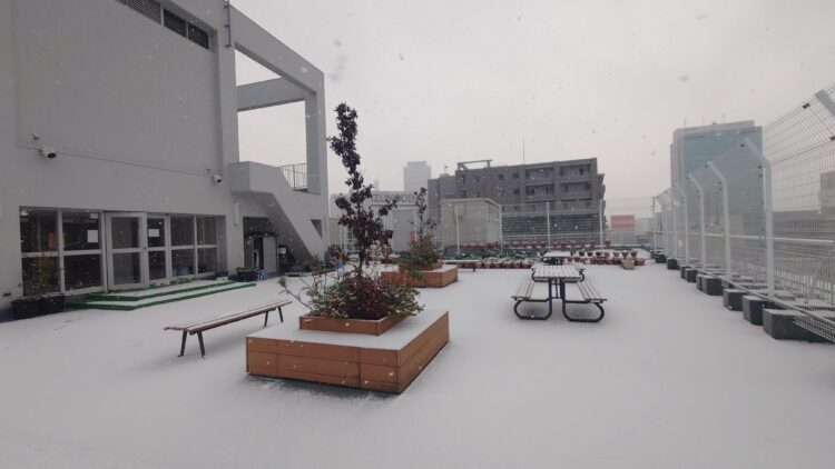 名古屋駅周辺も雪化粧